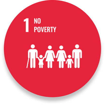 SDG 1