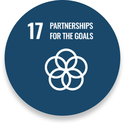 SDG 17