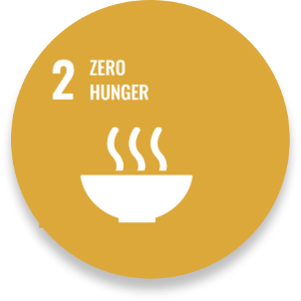 SDG 2
