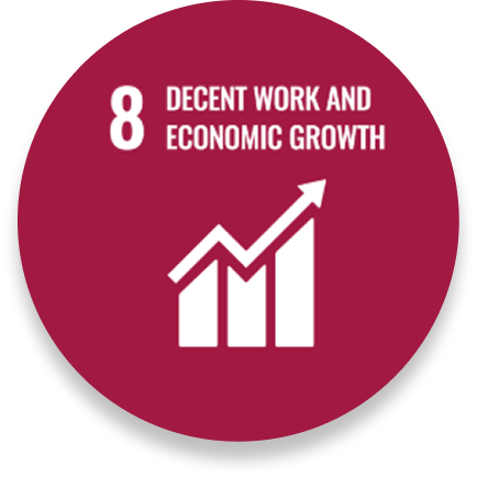 SDG 8